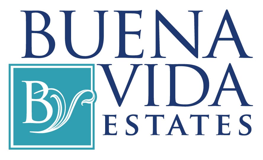 Logo Design -